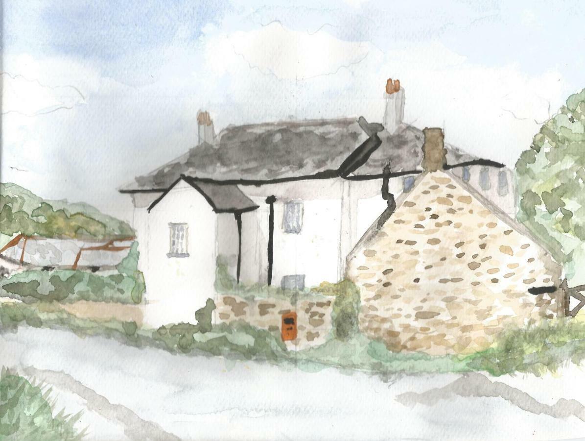 Boots Cottage Bude Dış mekan fotoğraf
