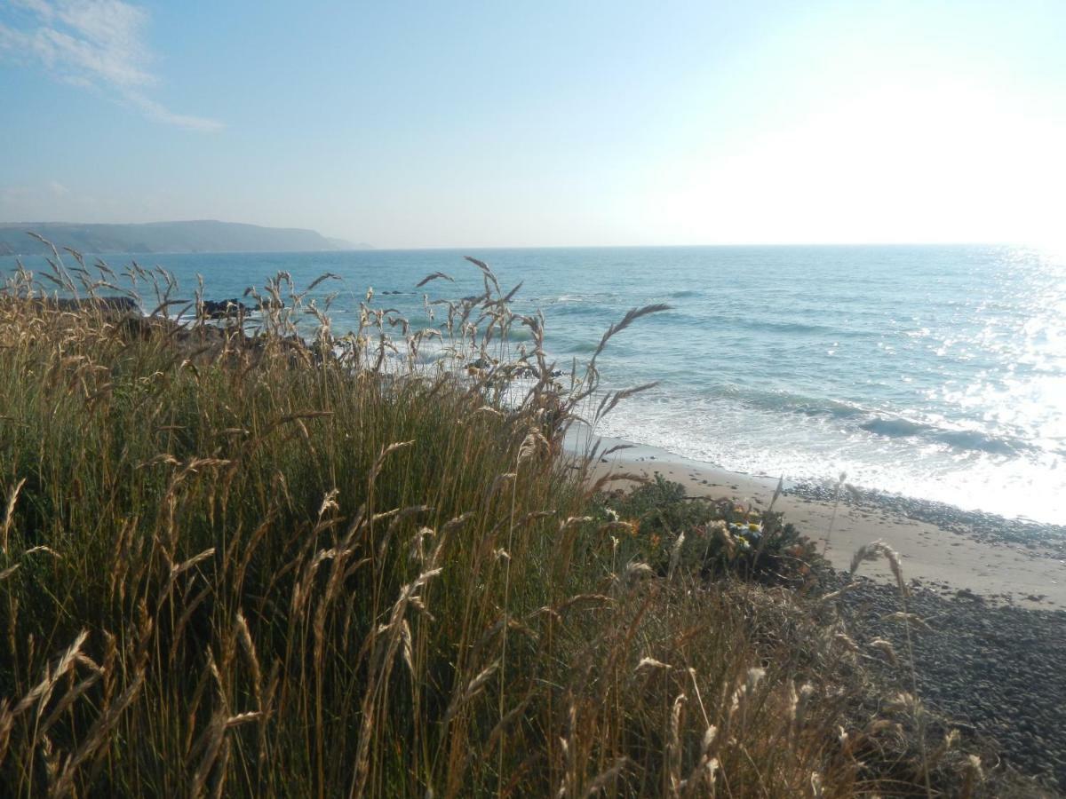 Boots Cottage Bude Dış mekan fotoğraf
